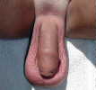 balls6